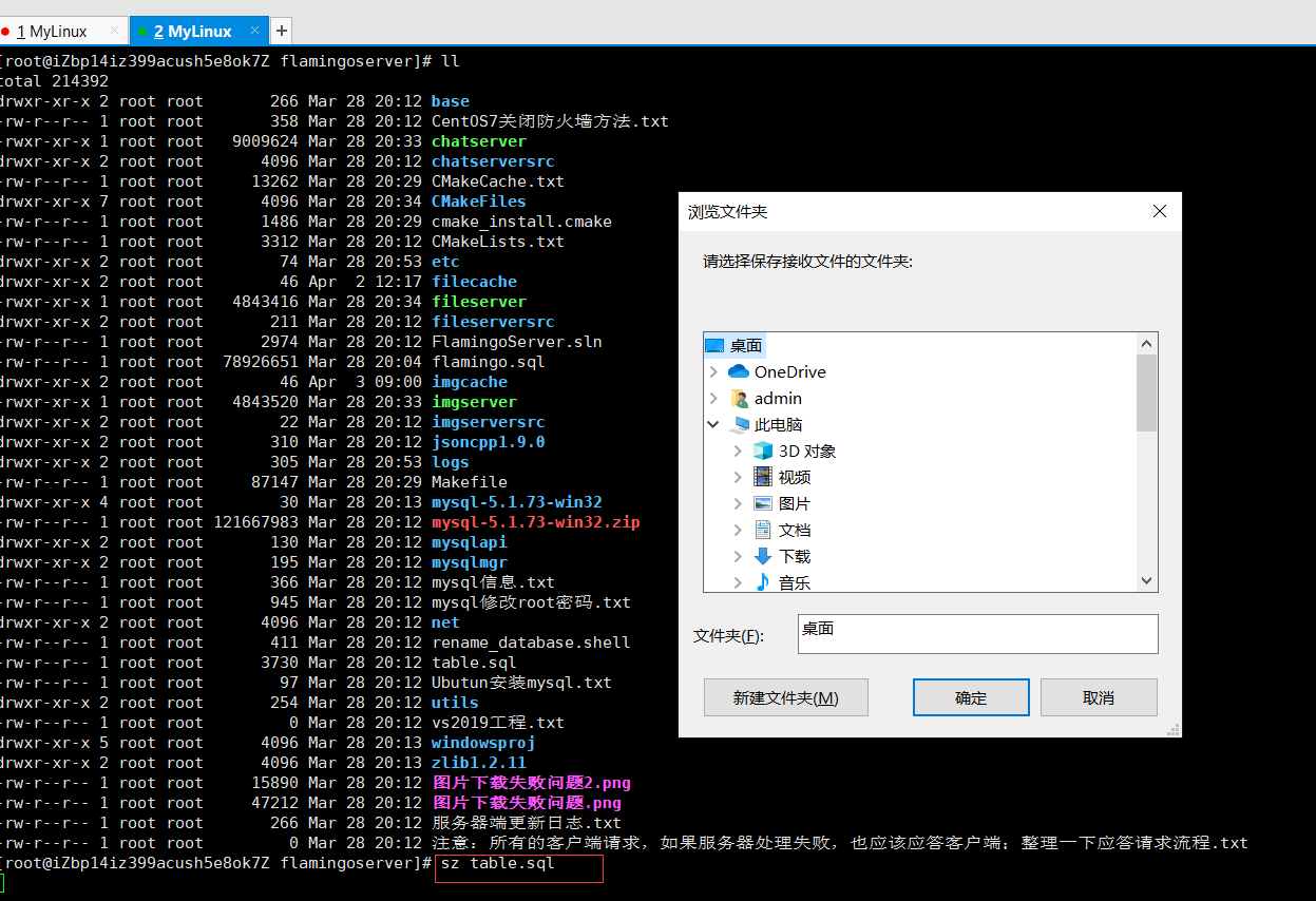 xshell（配图）