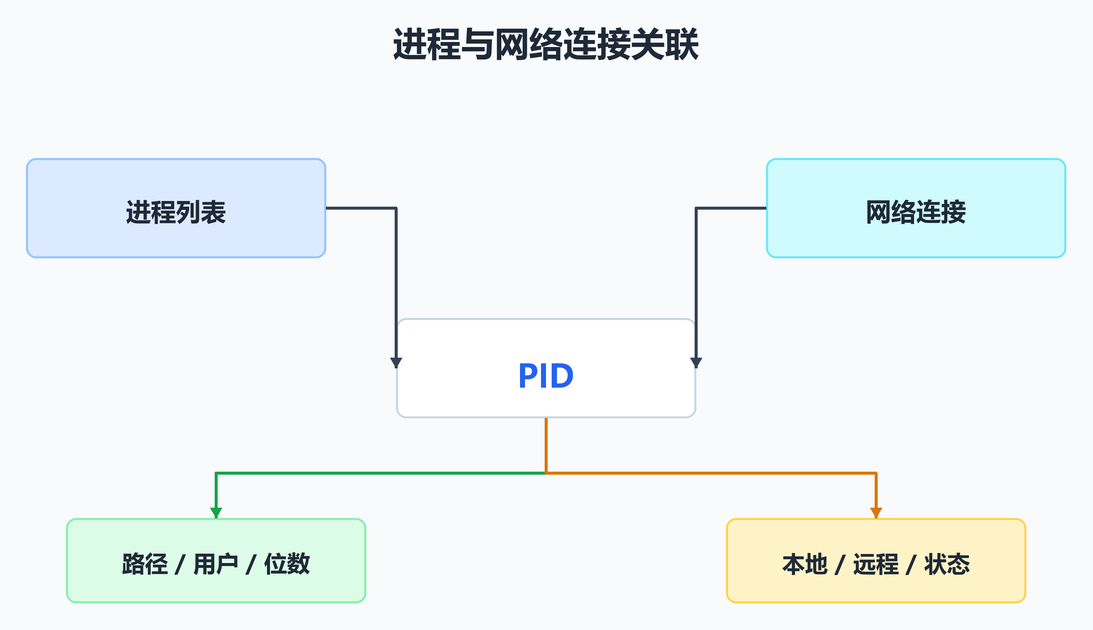 进程与网络连接关联